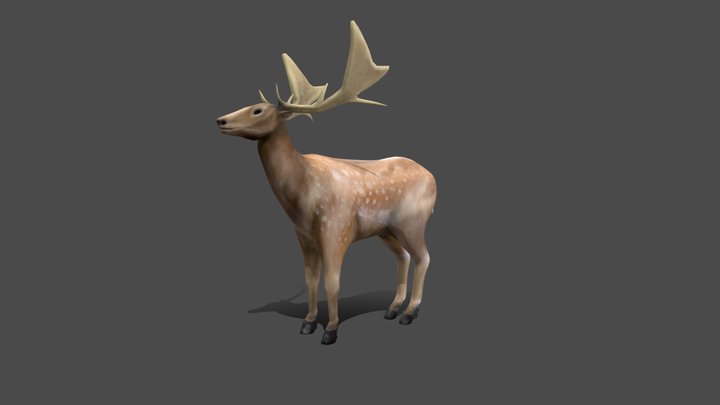 jelonek 3D Model