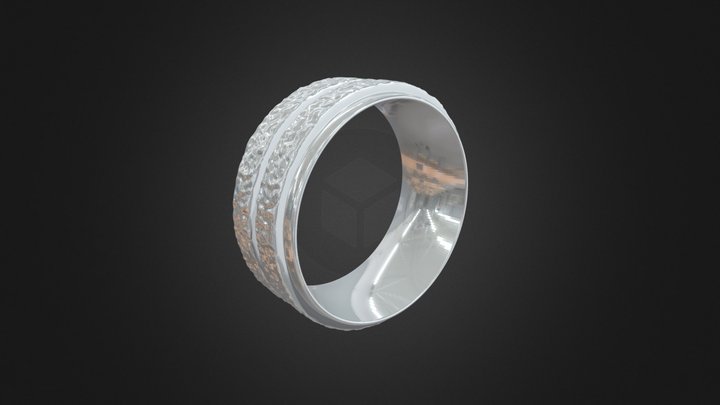 Anatomical Silver Ring with Roughness 3D Model