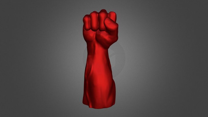 Fist Arm 3D Model
