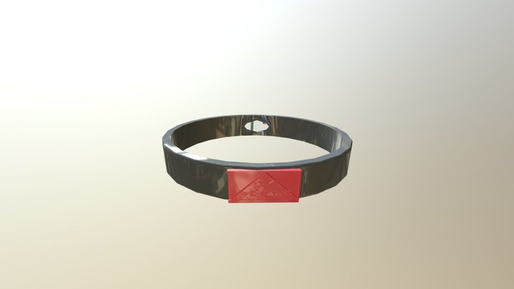 iChiP Wristband 3D Model