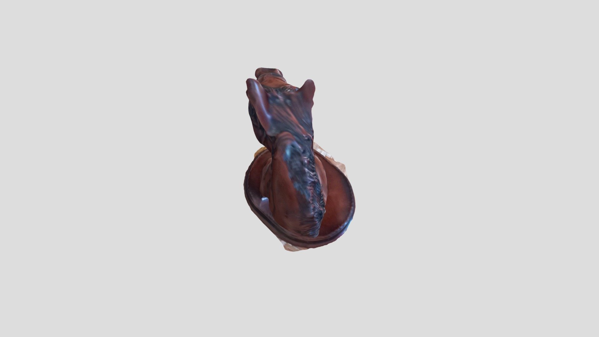 buste cheval