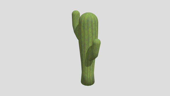 Cactus DR 3D Model