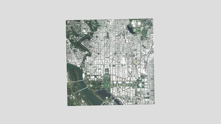 Washington 华盛顿 3D Model