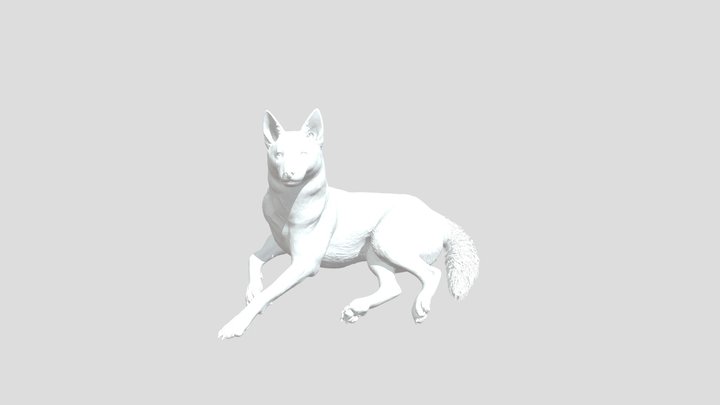 Husky Relaxation 3D Model
