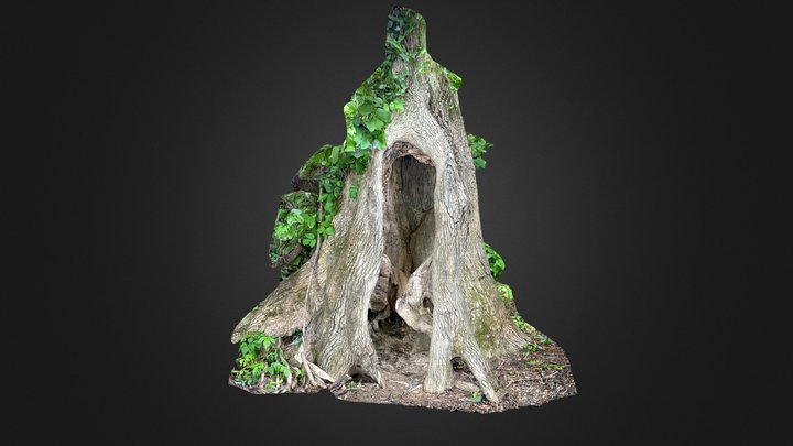 Hollowed Tree Trunk – Modello 3D gratuito STL