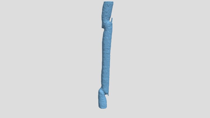 European ash: Latewood vessel 3D Model