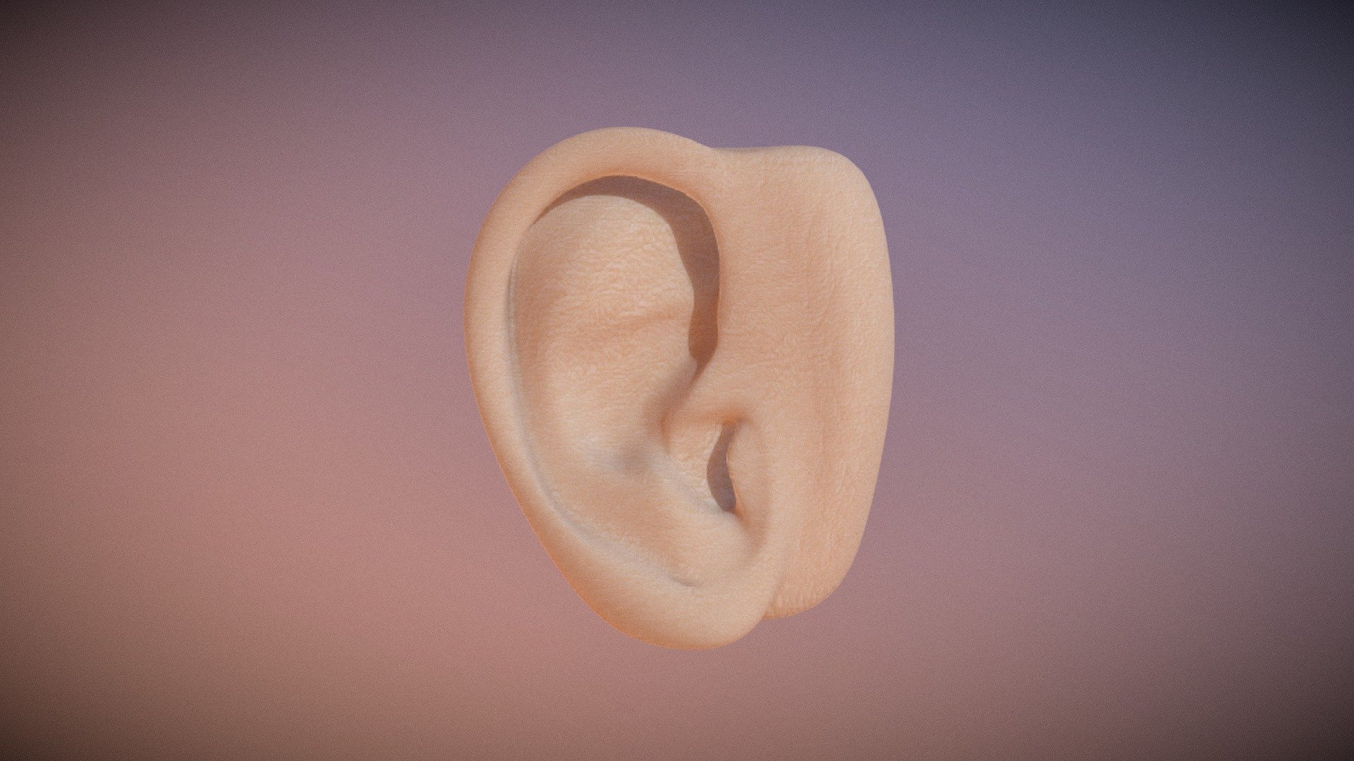 ear - VALTERS KALCENAUS