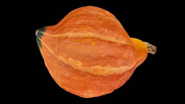 French Red kuri squash pumpkin / potimarron scan 3D Model