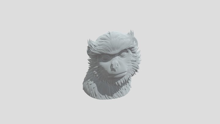 Curious Monkey 3D Model