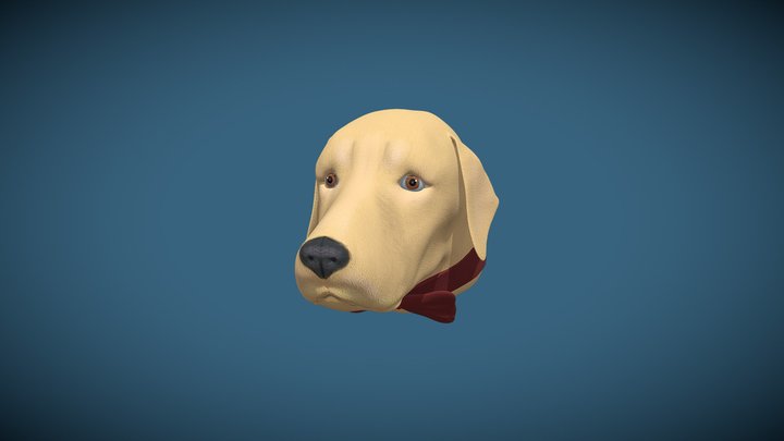 Caterine Martinez; Perro 3D Model