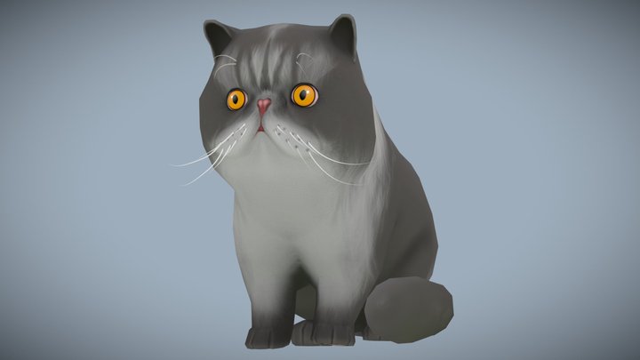 Hand Painted Exotic Shorthair 3D Model