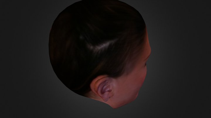 linz4 3D Model