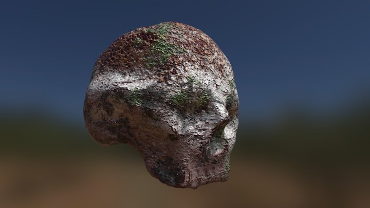 GART DR SKULL 01 TEXTURED 3D Model