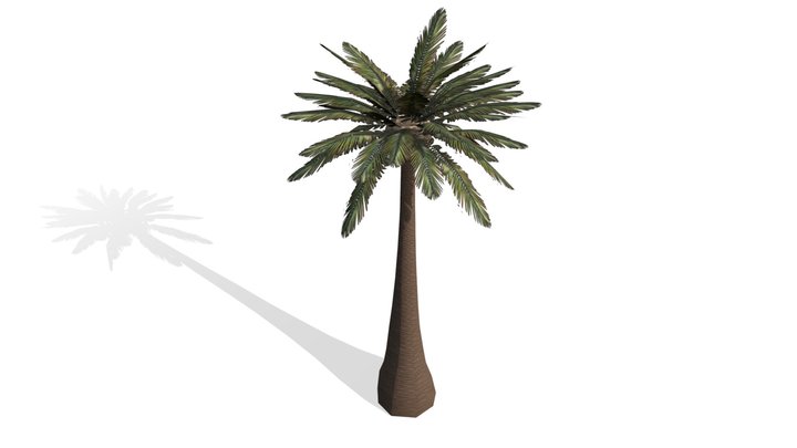 Palm Tree v2 (Low Poly) 3D Model