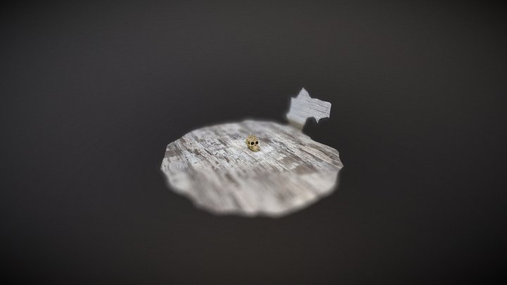 Skull out of skulls Test Scan - App 2 3D Model