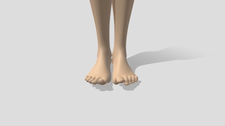 female Feet 3D Model