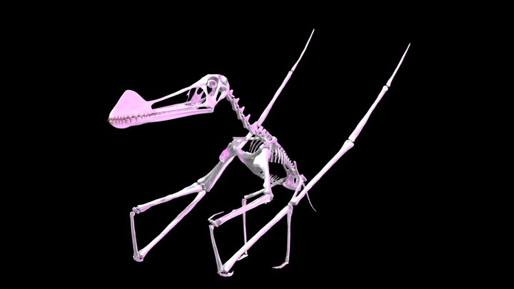 Ferrodraco lentoni 3D Reconstruction & Animation 3D Model