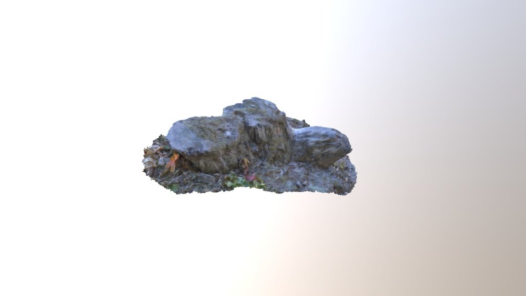 stump2