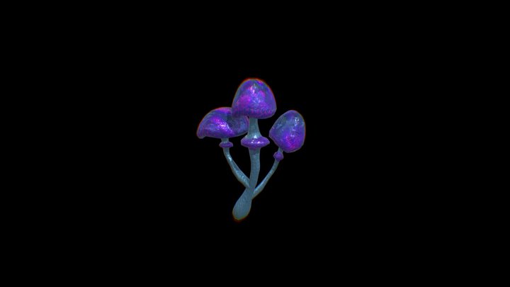 Shroom 3D Model