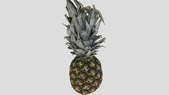 Ananas Realityscan – Free 3D Model STL