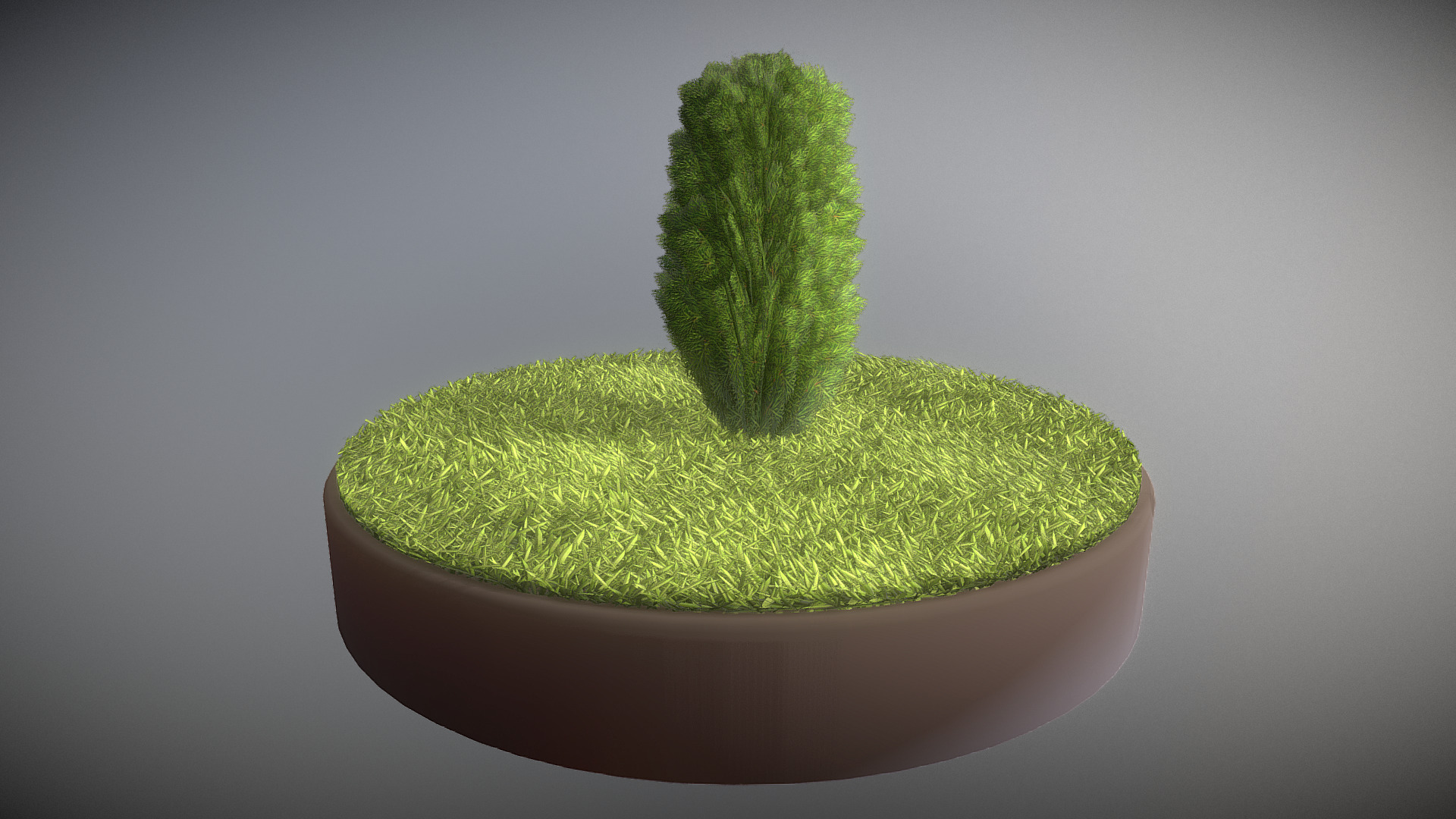 3D model Cypress  – Version 4 – 1 Meter - This is a 3D model of the Cypress  - Version 4 - 1 Meter. The 3D model is about a cactus in a pot.