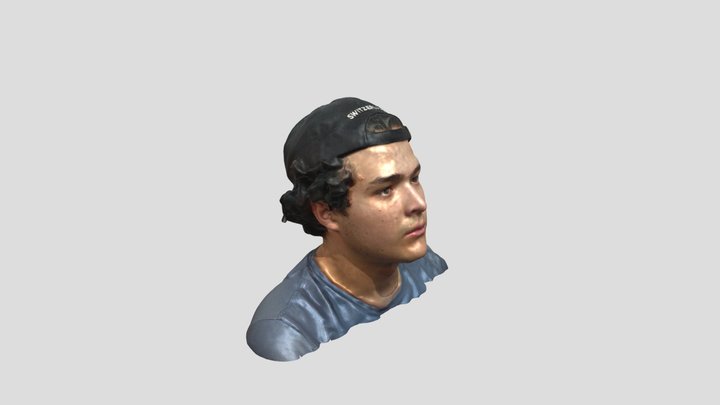 Cara Final Polygon 3D Model
