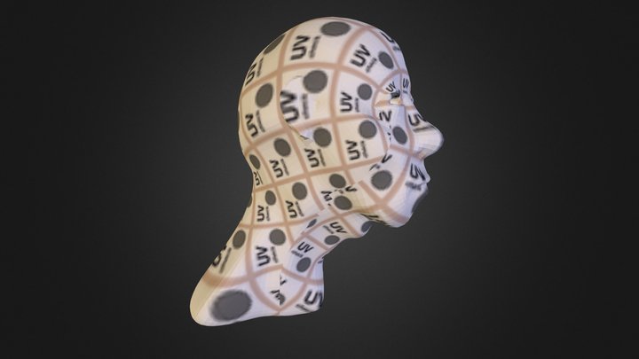 Re Topology Checkers 3D Model