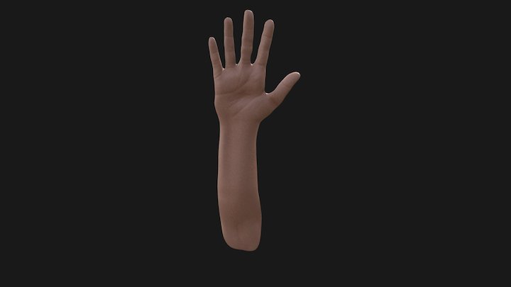 Hand 3D Model