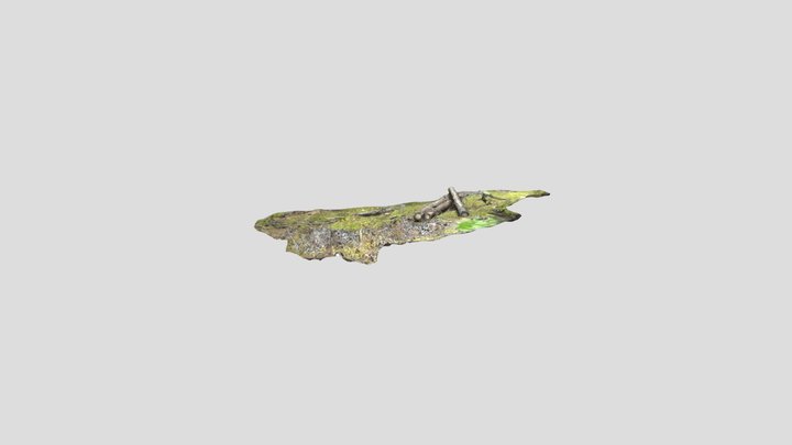 Iceland Forest log 3D Model