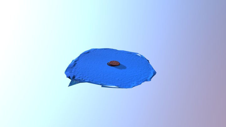 Photogrametry Coin Test 3D Model