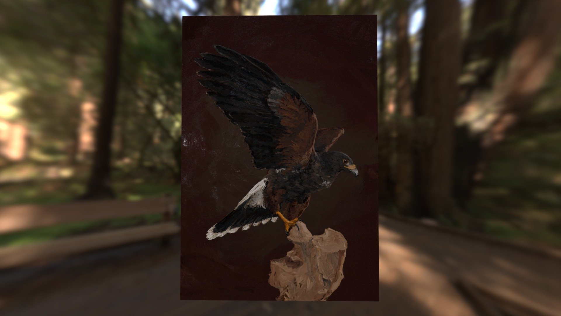 Harris Hawk — Sketchfab embed 3D viewer