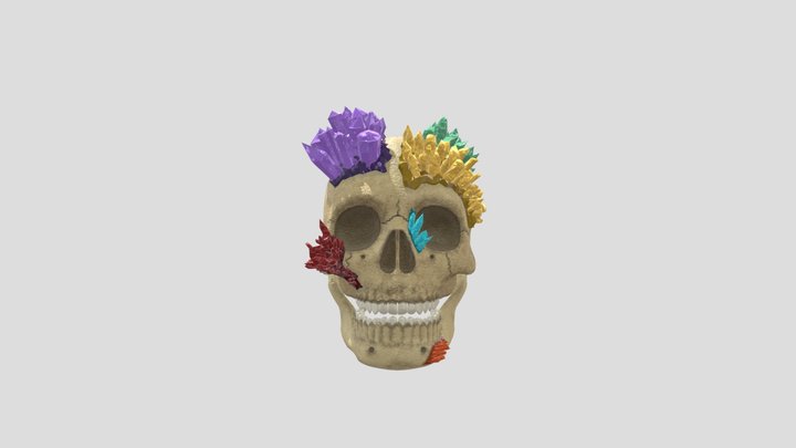 Crystal Skull 3D Model