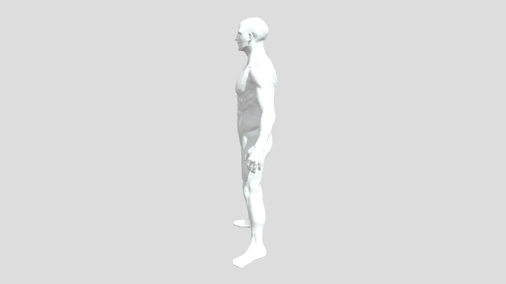 1 Modeling Man 3D Model