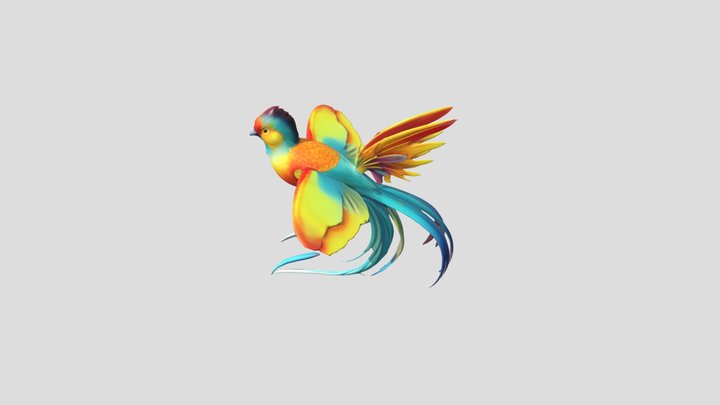 COLOUR LITLE BIRD 3D Model