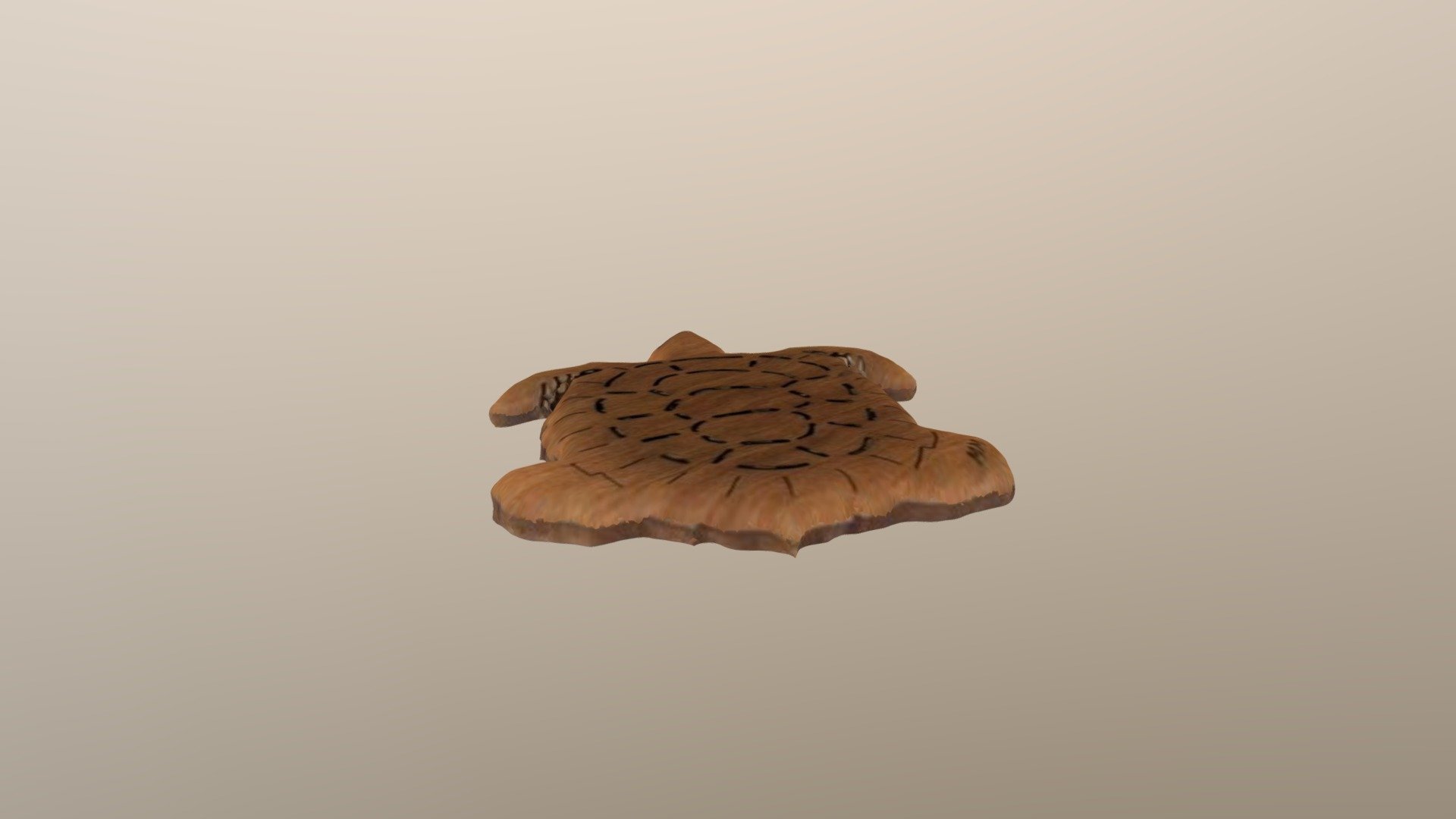 Turtle - 3D model by dhunt101 [c765bf3] - Sketchfab