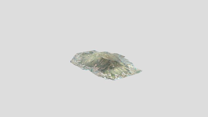 거류산 완료 3D Model