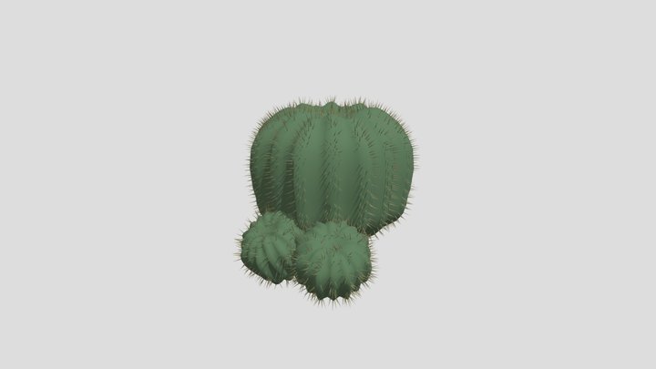 Saloon Cactus Variant 2 3D Model