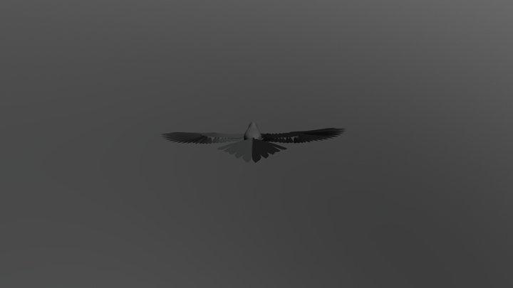 1) Bird Flapping 3D Model