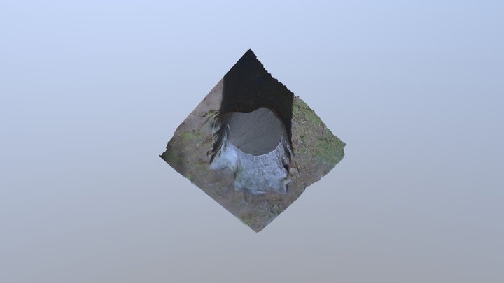 Base Arbre 3D Model
