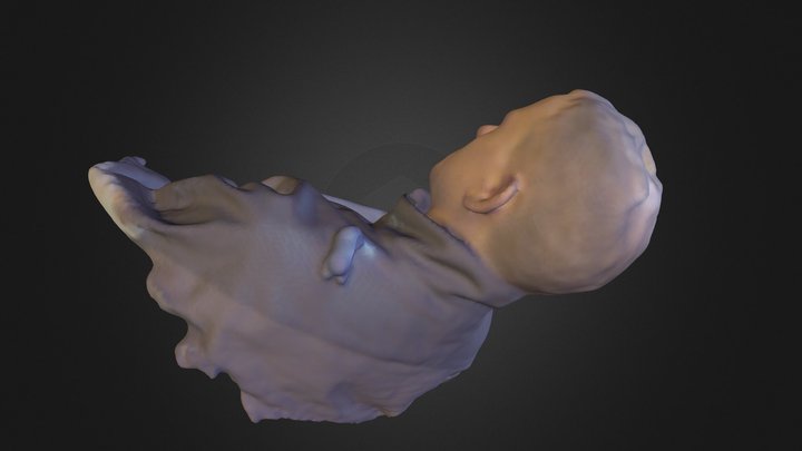 Vincent Nardonel 3D Model