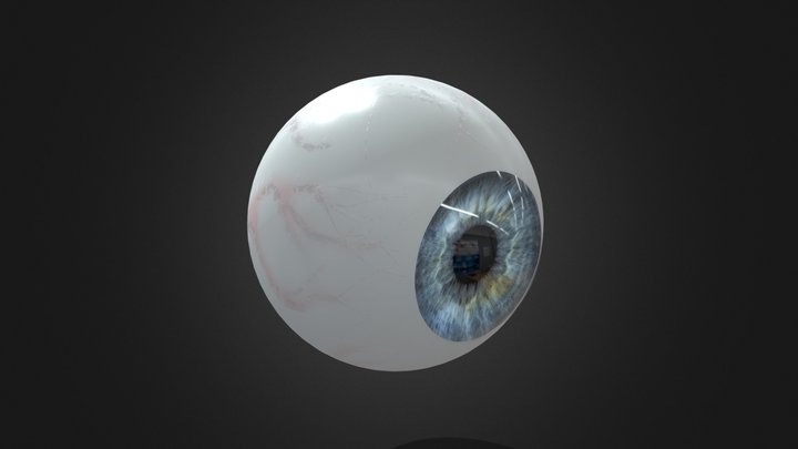 Human Eye v2 3D Model
