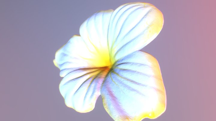 Fleur Rotate 3D Model