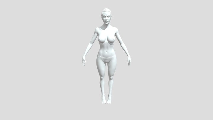 Female Anatomy (highpoly) 3D Model