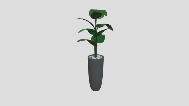 Plant 3D Model