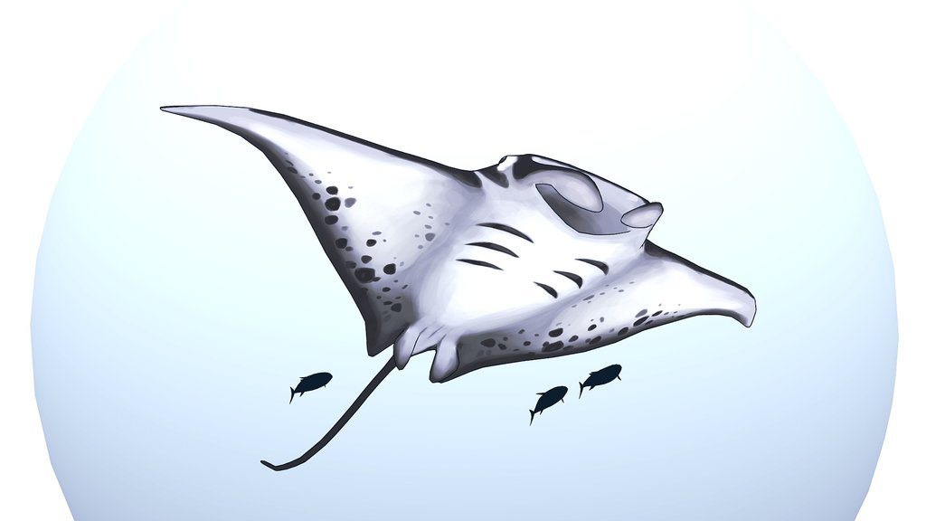 Manta ray bubble