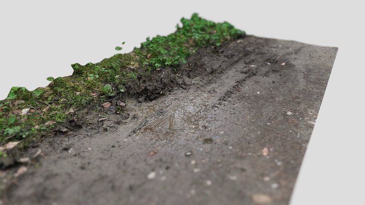 Mud Scan 8k 006 3D Model