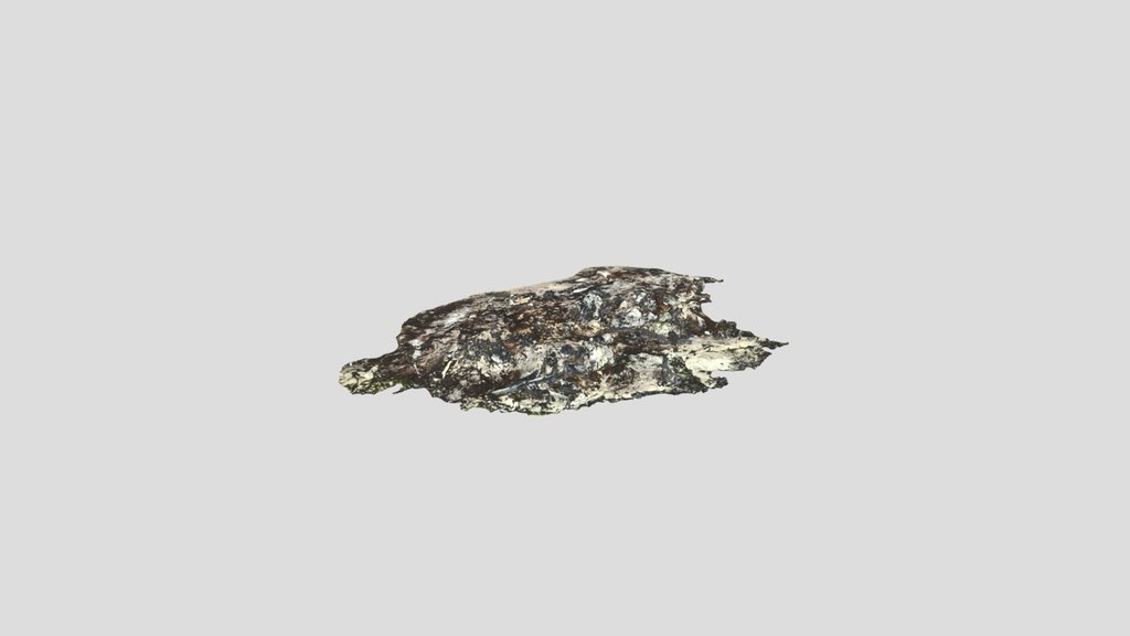 3d Scanned Large Burned Landfield