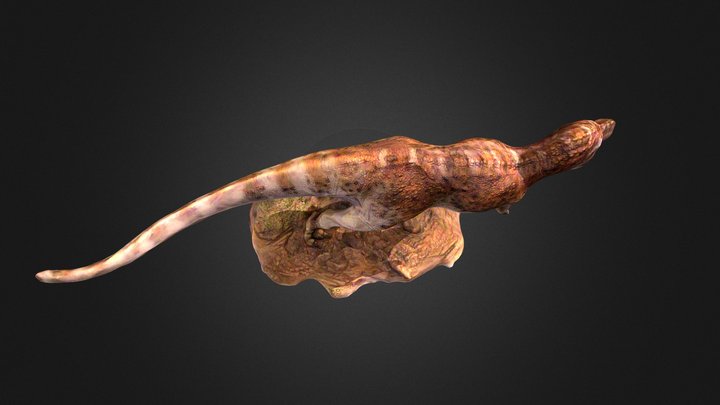 PNSO Tyrannosaurus Wilson 3D Model