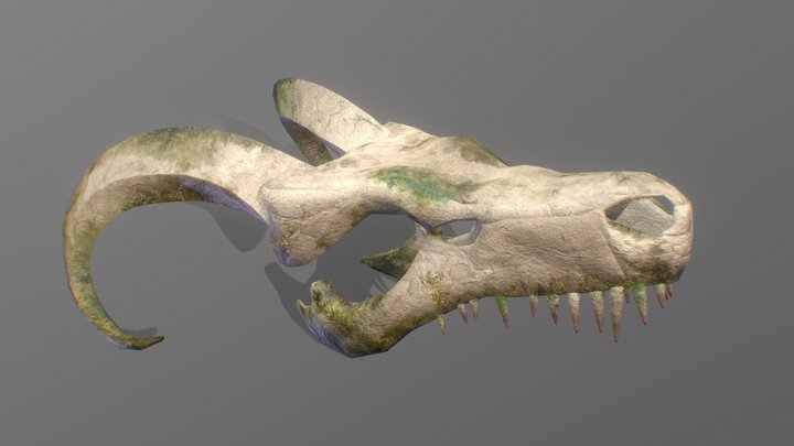 Dragon skull 3D Model