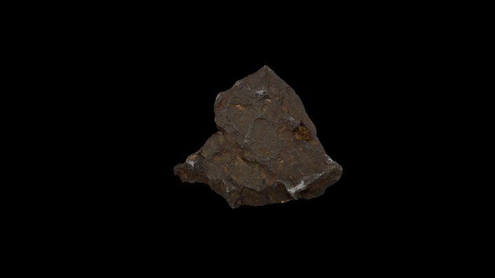 Abrams Planetarium Edmore Meteorite 3D Model